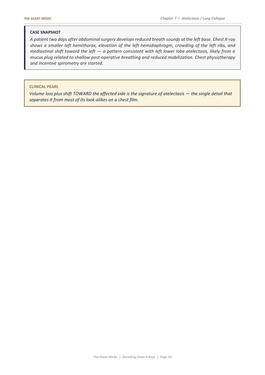 Sample page 3 from Decoding Chest X-Rays