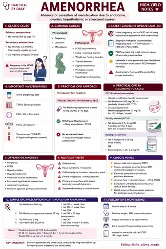 One-pager preview: Amenorrhoea
